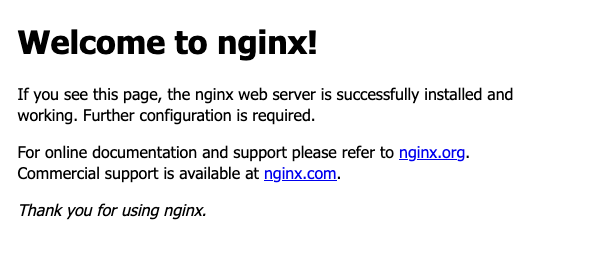 The default Nginx welcome page The default Nginx welcome page